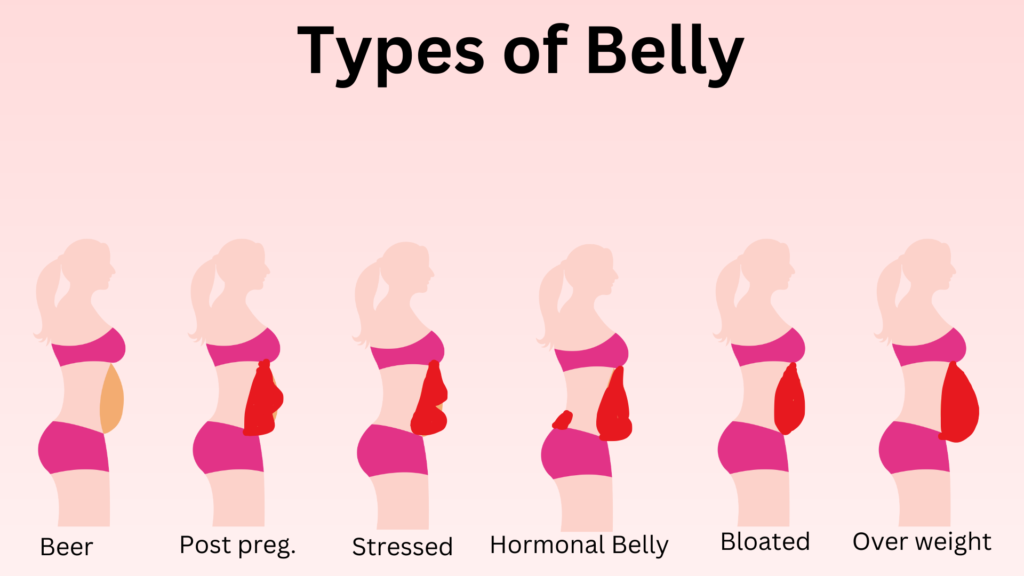 types of belly fat