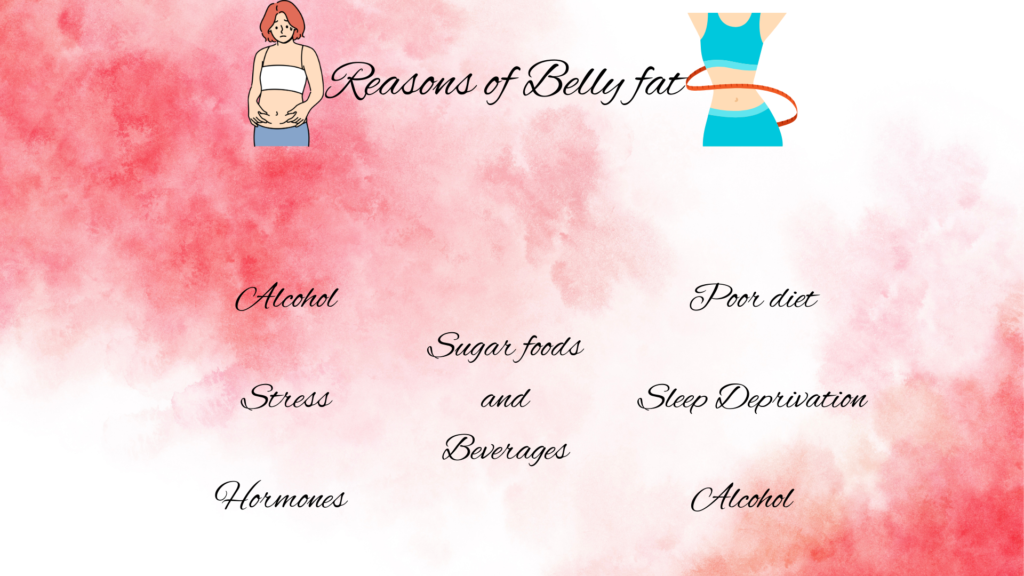 Some reason of belly fat